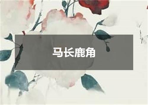 马长鹿角
