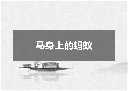 马身上的蚂蚁