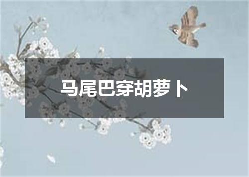 马尾巴穿胡萝卜
