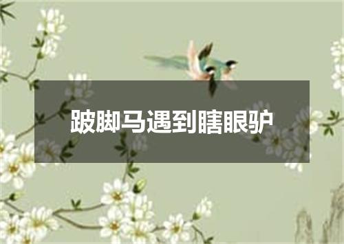跛脚马遇到瞎眼驴