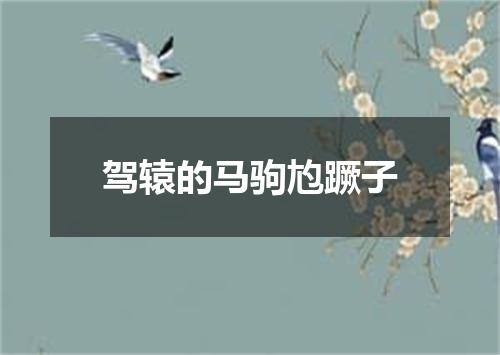 驾辕的马驹尥蹶子