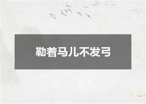 勒着马儿不发弓