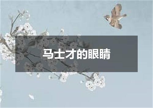 马士才的眼睛