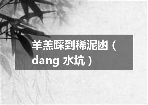 羊羔踩到稀泥凼（dang 水坑）