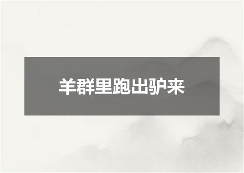 羊群里跑出驴来