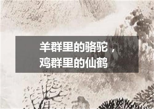 羊群里的骆驼，鸡群里的仙鹤