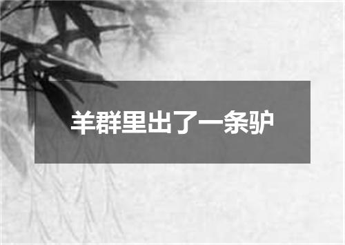 羊群里出了一条驴