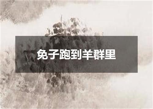 免子跑到羊群里