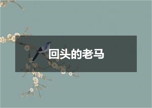 回头的老马