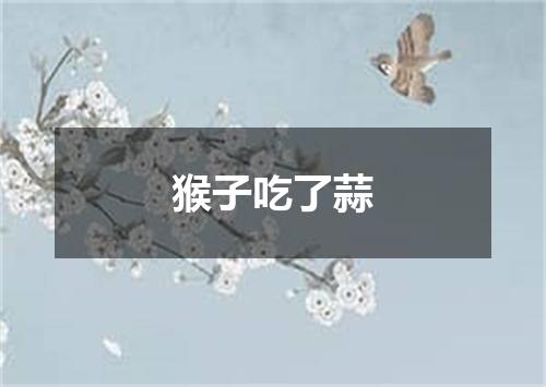 猴子吃了蒜