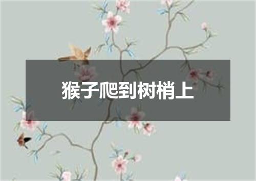 猴子爬到树梢上