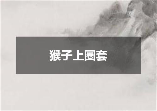 猴子上圈套