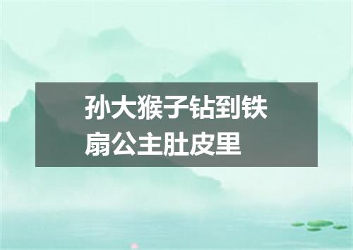 孙大猴子钻到铁扇公主肚皮里