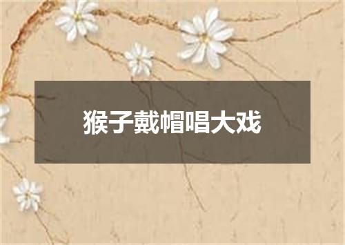 猴子戴帽唱大戏