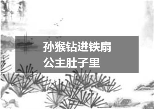 孙猴钻进铁扇公主肚子里
