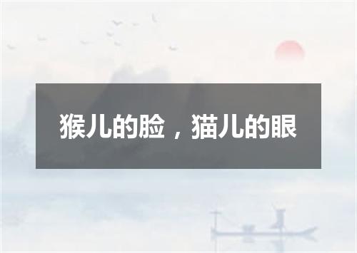 猴儿的脸，猫儿的眼