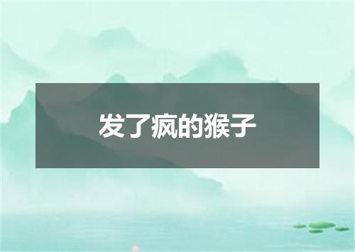 发了疯的猴子