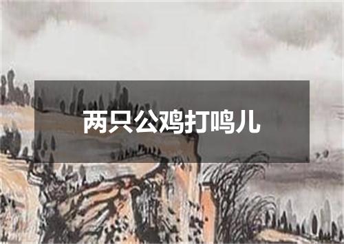 两只公鸡打鸣儿