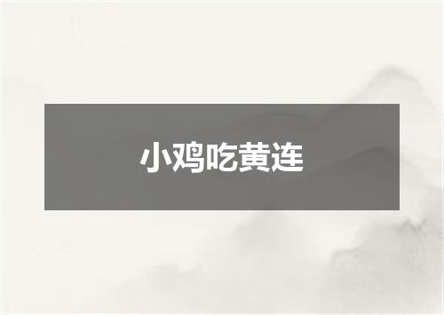 小鸡吃黄连