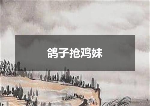 鸽子抢鸡妹