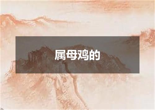 属母鸡的