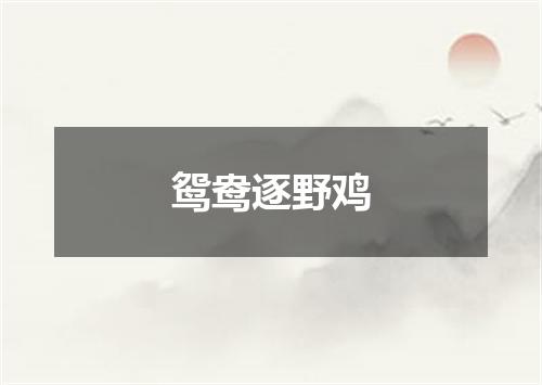 鸳鸯逐野鸡