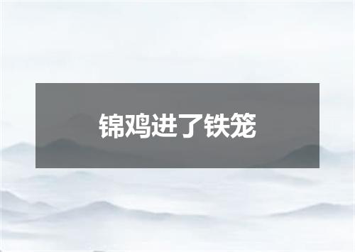 锦鸡进了铁笼