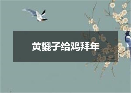 黄貔子给鸡拜年