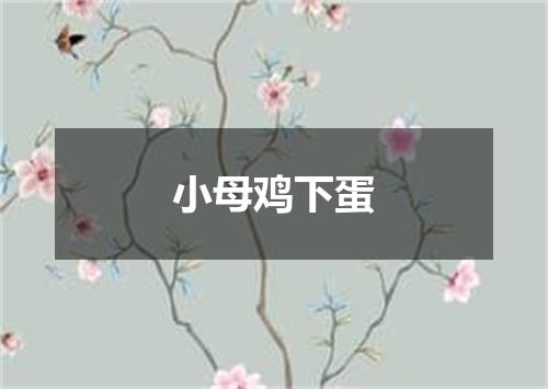 小母鸡下蛋