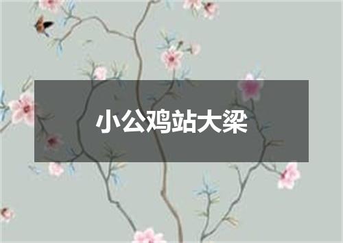 小公鸡站大梁