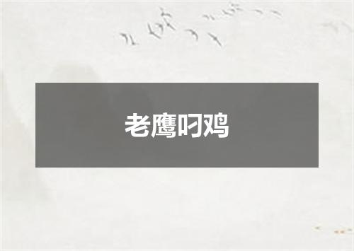 老鹰叼鸡