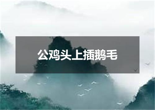 公鸡头上插鹅毛