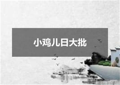 小鸡儿日大批