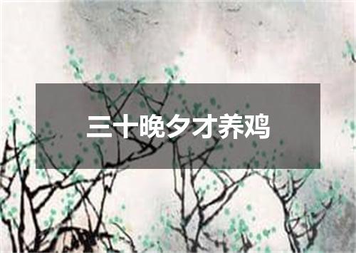 三十晚夕才养鸡