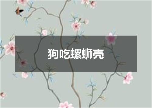 狗吃螺蛳壳