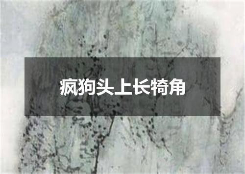 疯狗头上长犄角