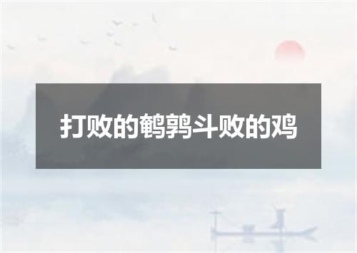 打败的鹌鹑斗败的鸡