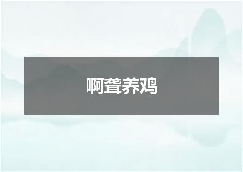 啊聋养鸡