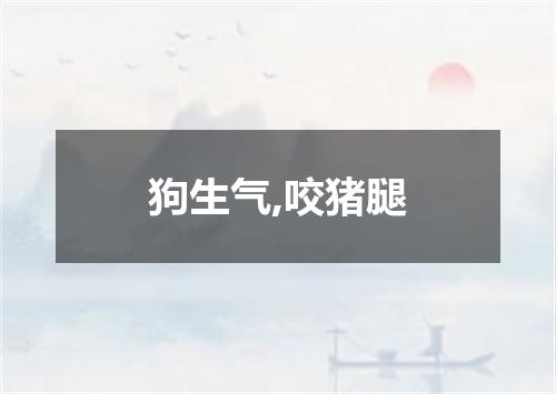 狗生气,咬猪腿