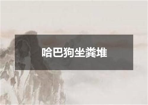 哈巴狗坐粪堆