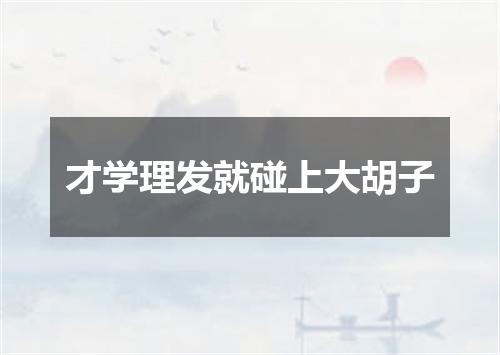 才学理发就碰上大胡子