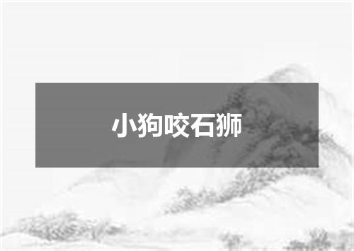 小狗咬石狮