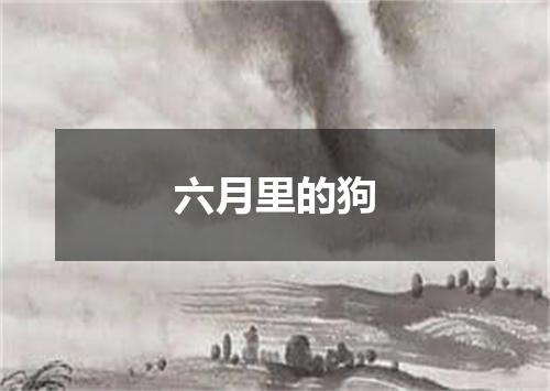 六月里的狗