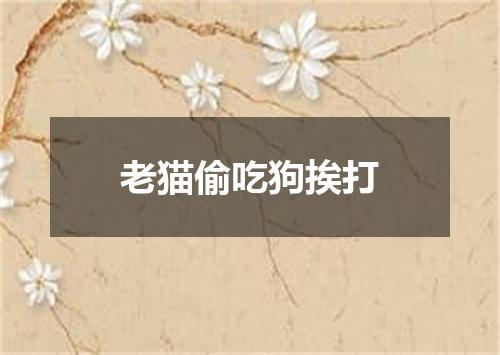 老猫偷吃狗挨打