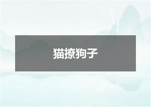 猫撩狗子