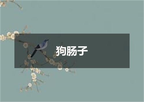 狗肠子