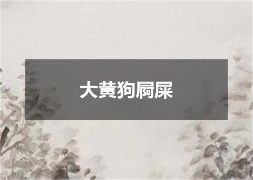 大黄狗屙屎