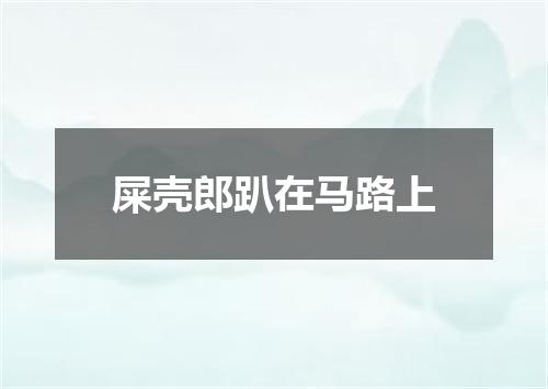 屎壳郎趴在马路上