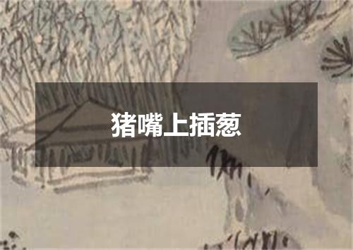 猪嘴上插葱