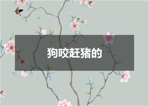 狗咬赶猪的